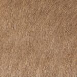 Sessione studio-6479-2