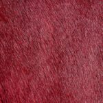 Sessione studio-6507-2