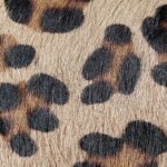Sessione studio-6522
