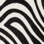 Sessione studio-6529